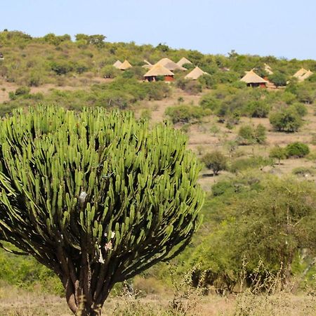 Africa Safari Maasai Boma Camping Serengeti Extérieur photo